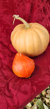 Load image into Gallery viewer, Pumpkin Chai
